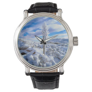 Eine schneebedeckte Yucca Armbanduhr