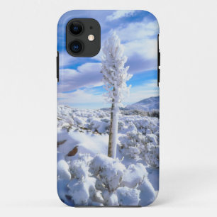 Eine schneebedeckte Yucca iPhone 11 Hülle