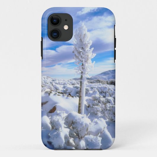 Eine schneebedeckte Yucca Case-Mate iPhone Hülle (Rückseite)