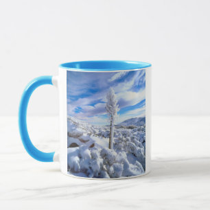 Eine schneebedeckte Yucca Tasse
