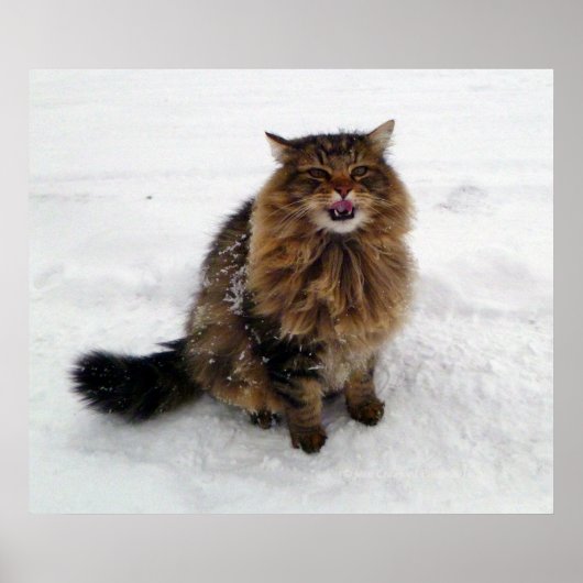 Eine Schneeflocke fangen Poster (Vorne)