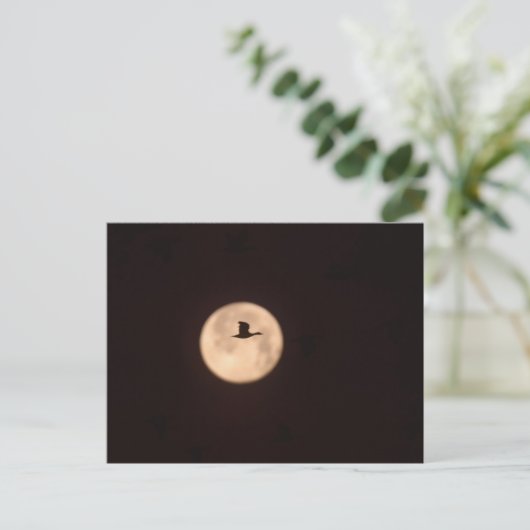 Eine Schneegose gegen Vollmond | Neu Mexiko Postkarte (Stehend Vorderseite)