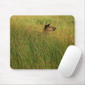 Eine schnelle Spitze Mousepad (Mit Mouse)