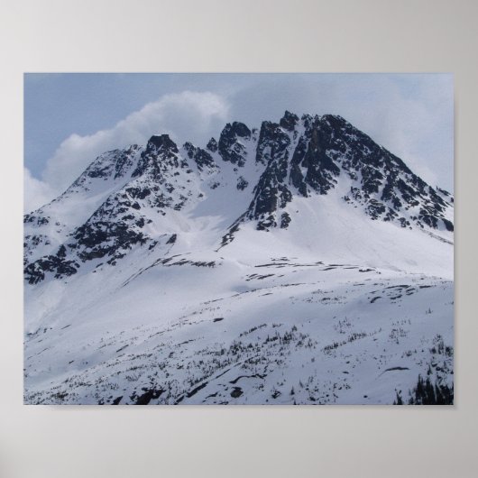 Eine schöne Alaska-Bergszene! Poster (Vorne)