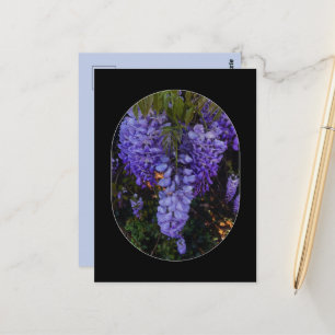 eine schöne Berührung der Natur Postkarte