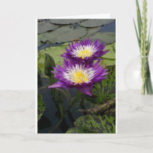 EINE "SCHÖNE BLUME" FÜR DIE "IHRE GEBURTSTAGSKARTE KARTE