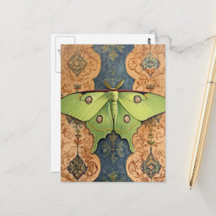 Eine schöne grüne Motte vor blauem Hintergrund Postkarte