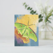 Eine schöne Motte Postkarte (Stehend Vorderseite)