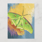 Eine schöne Motte Postkarte (Vorderseite)