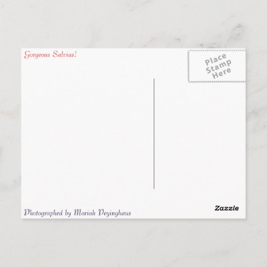 Eine schöne orangefarbene Salvia-Blüte Postkarte (Rückseite)