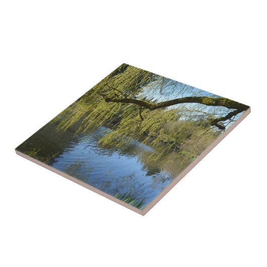 eine schöne Quelle Weiden Bäume am Wasserteich. Fliese (Seite)