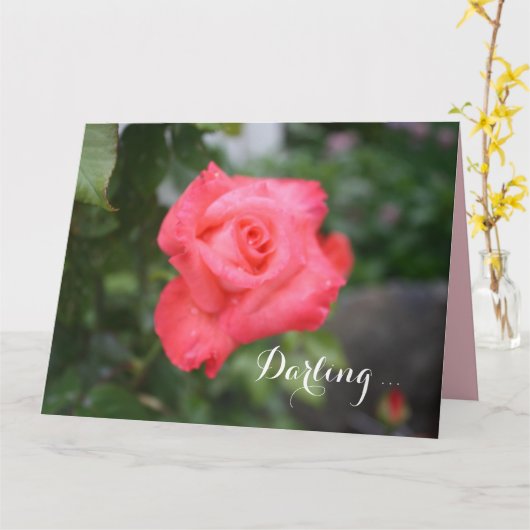 Eine schöne rosa Rose, große Grußkarte Karte (Gelbe Blume)