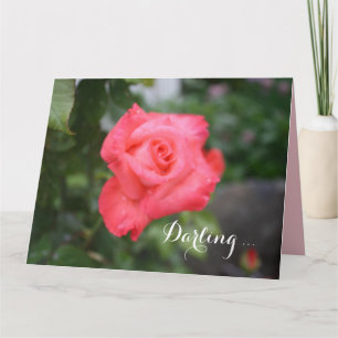Eine schöne rosa Rose, große Grußkarte Karte