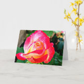 Eine schöne Rose-Grußkarte Karte (Gelbe Blume)
