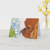 Eine schöne, süße Grußkarte Karte (Gelbe Blume)