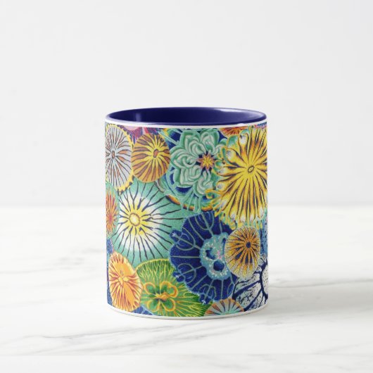 Eine schöne Tasse von Philip Jacobs (Zentrum)