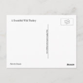 Eine schöne wilde Türkei auf einer Postkarte (Rückseite)