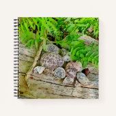 Eine schöne Zeitschrift mit der Natur und das best Notizblock (Vorderseite)