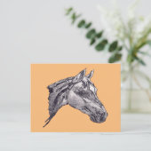 Eine Schönheit der Pferde Postkarte (Stehend Vorderseite)