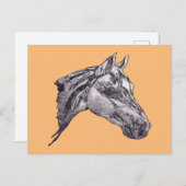 Eine Schönheit der Pferde Postkarte (Vorne/Hinten)