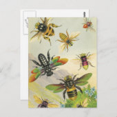 Eine Schönheit schöner Bienen Postkarten (Vorne/Hinten)
