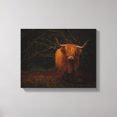Eine schottische Hochlandkuh Leinwanddruck (Vorderseite)