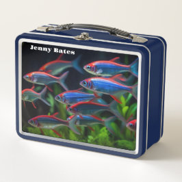 Eine Schule in Neon Metall Brotdose