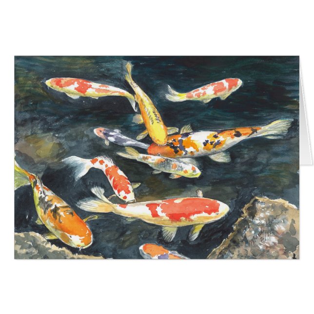 Eine Schule von Koi Fischen in einem Teich (Vorderseite (Horizontal))