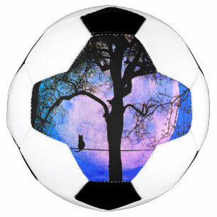 Eine schwarze Katze auf einem Draht Vollmond Fußball