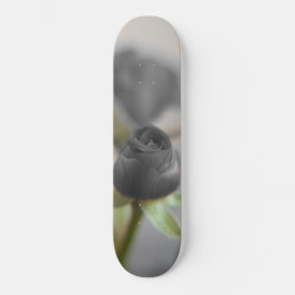 Eine schwarze Rose für Ihre Liebste... Skateboard