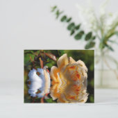 Eine schwedische Rose Postkarte (Stehend Vorderseite)