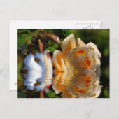 Eine schwedische Rose Postkarte (Vorne/Hinten)