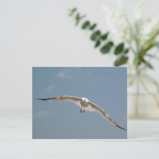 Eine Seagull in der Luft Postkarte (Stehend Vorderseite)