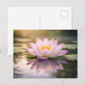 Eine Seerose Postkarte (Vorne/Hinten)