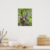 Eine sehr alte Weinrebe im Weinberg Clos de l'Echo Poster (Küche)