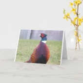 Eine sehr angenehme Fasan-Gruß-Karte Karte (Gelbe Blume)