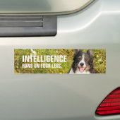 Eine sehr freundliche Border Collie Autoaufkleber (Auf Auto)