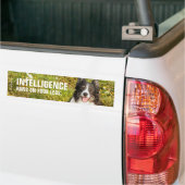 Eine sehr freundliche Border Collie Autoaufkleber (Auf Lkw)