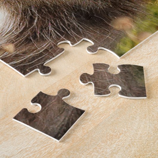 Eine sehr freundliche Border Collie Puzzle (Seite)