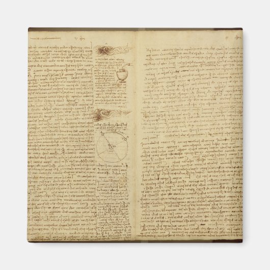 Eine Seite aus dem Codex Leicester, 1508-12 Magnet (Vorne)