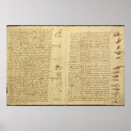 Eine Seite aus dem Codex Leicester, 1508-12 Poster (Vorne)