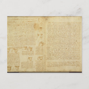 Eine Seite aus dem Codex Leicester, 1508-12 Postkarte