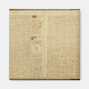 Eine Seite vom Kodex Leicester, 1508-12 Magnet
