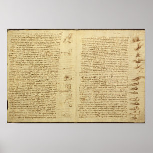 Eine Seite vom Kodex Leicester, 1508-12 Poster