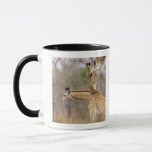 Eine Seitenansicht einer Giraffe, die seine Junge Tasse (Links)