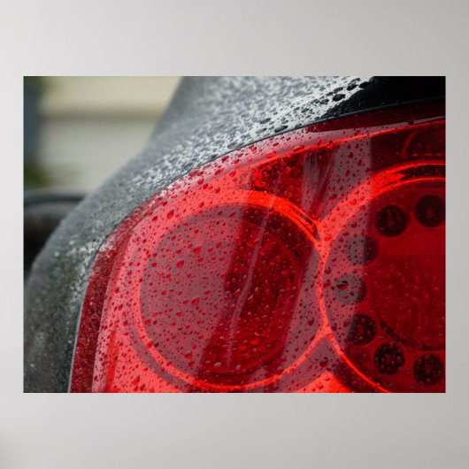 Eine seltene Ansicht Poster (Vorne)