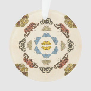 Eine seltene Beschreibung der Schmetterlinge und Ornament