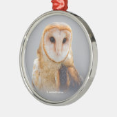 Eine serene und wunderschöne Scheune Ornament Aus Metall (Links)