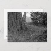 Eine Single-Blume Postkarte (Vorne/Hinten)