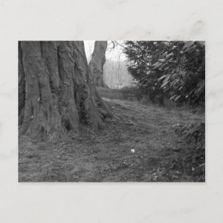 Eine Single-Blume Postkarte